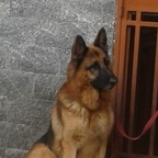 Onlyfans leaked bonbon 

 profile picture