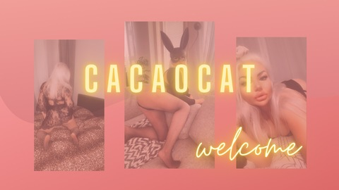Header of cacaocat