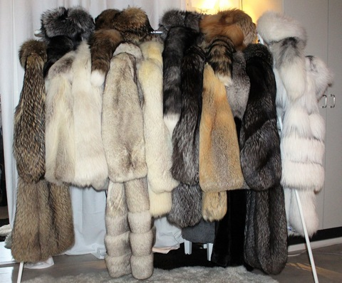 Header of furcoatfun