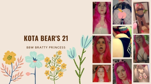 Header of kotabears21