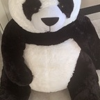 Profile picture of pandasticpron