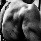 passiongym (DAPM) free OnlyFans content 

 profile picture