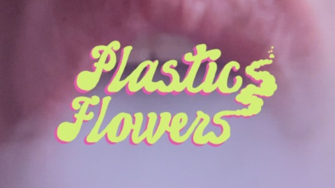 Header of plasticflowersss