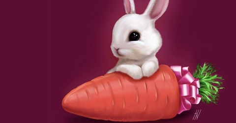Header of red_dirty_rabbit