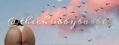 Header of thechubbybarbie