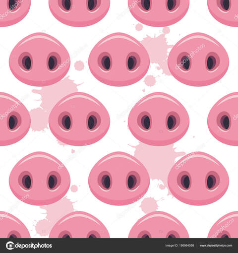 Header of too.pigs