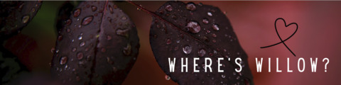 Header of wheres_willow